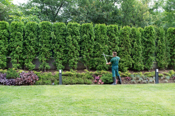 Best Arborist Consultation Services  in Balmville, NY